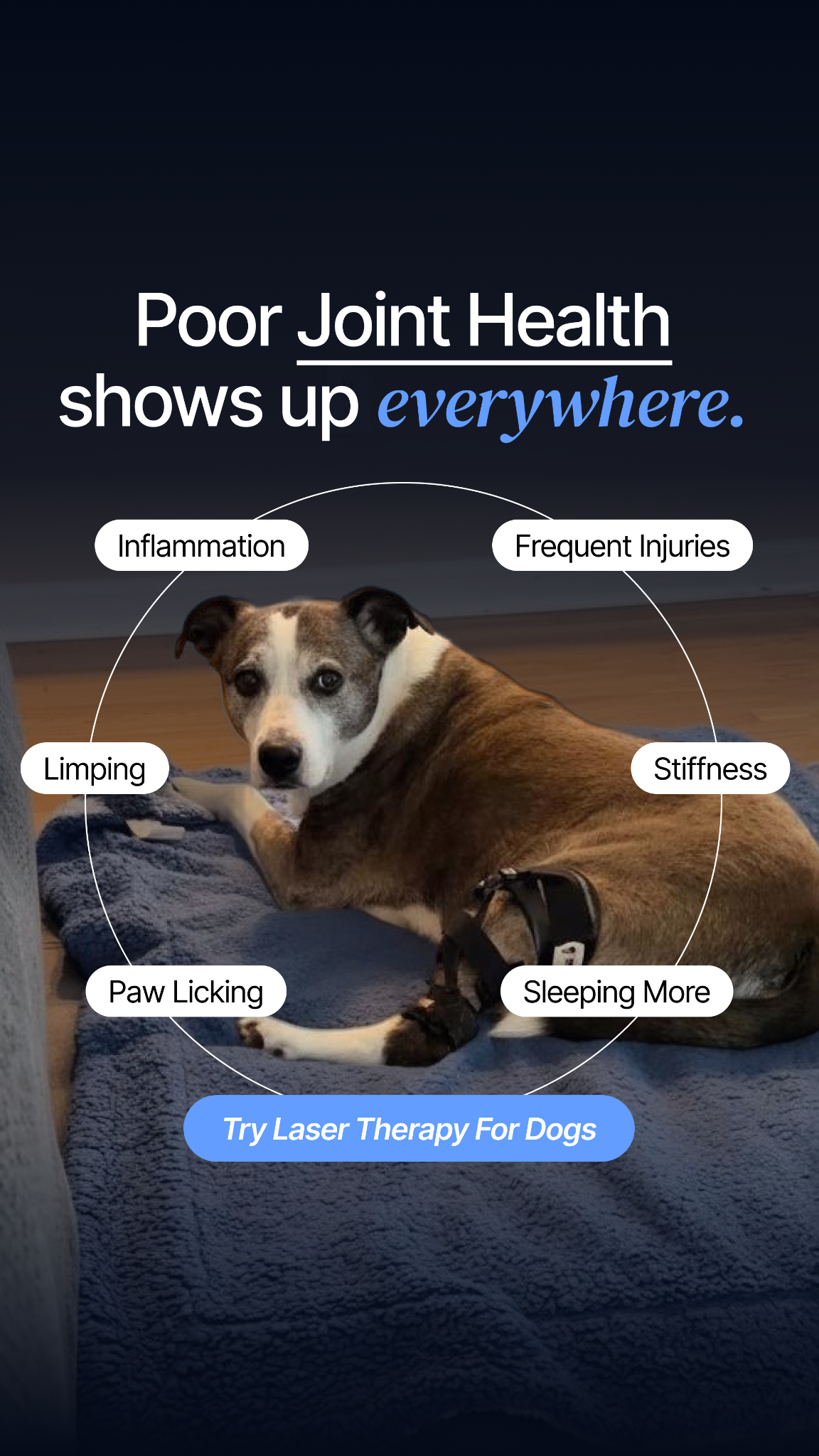 Helio Pet Facebook ad