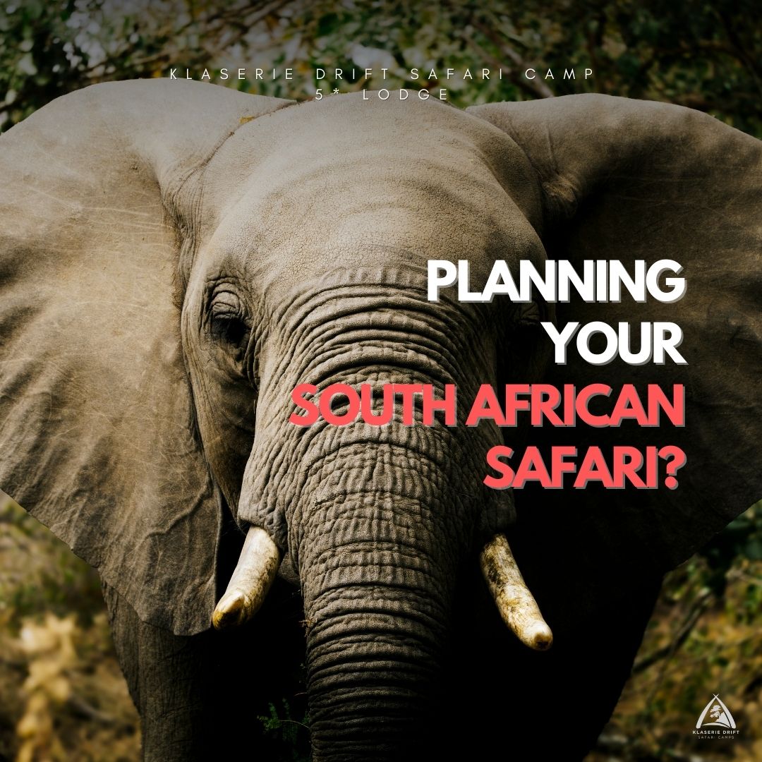 Klaserie Drift Safari Camps Facebook ad
