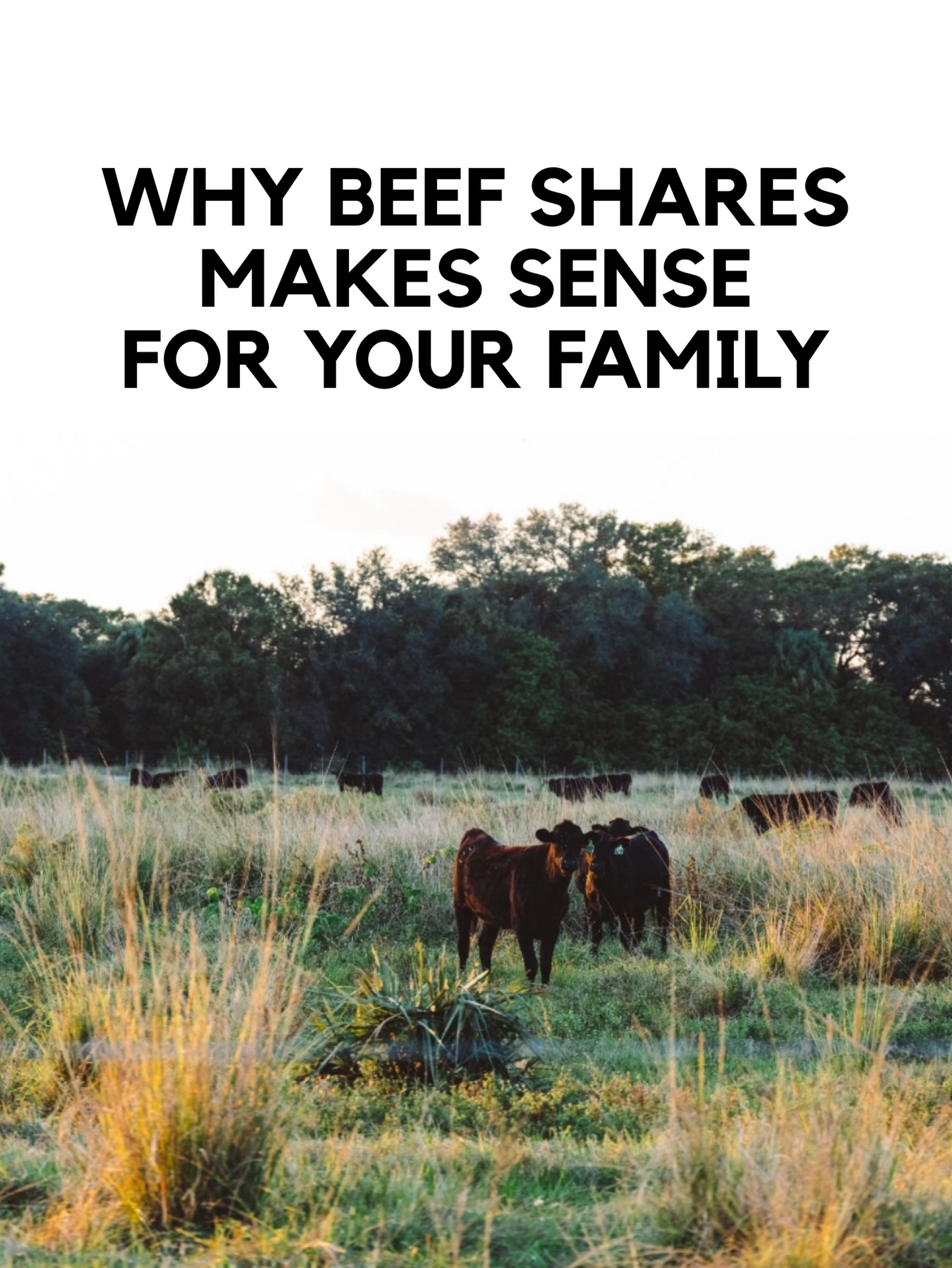 Everglades Ranch Facebook ad: PREMIUM PASTURE-RAISED AMERICAN WAGYU BEEF