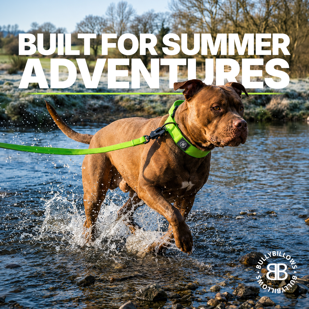 BullyBillows Facebook ad