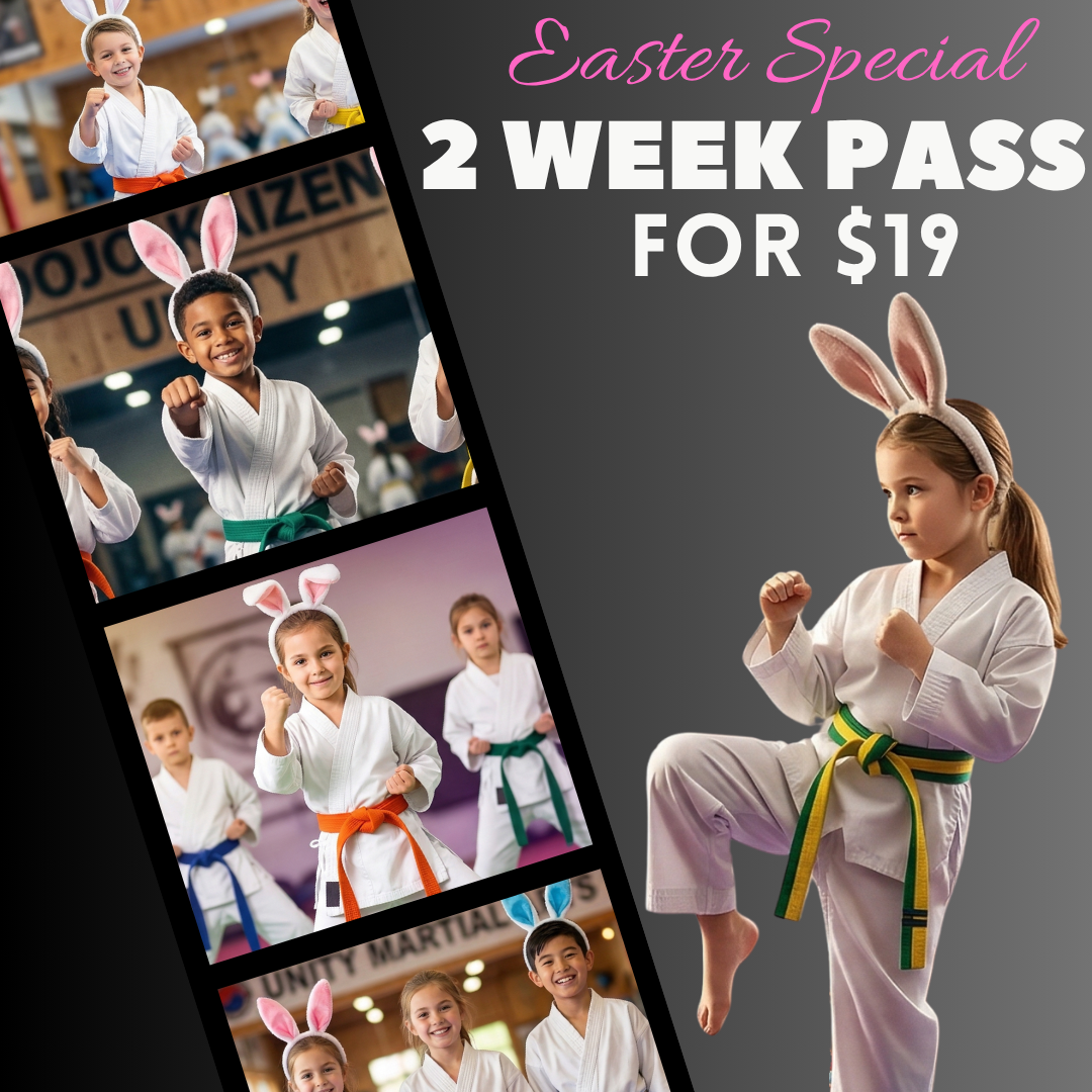 K Taekwondo - Pasadena Facebook ad