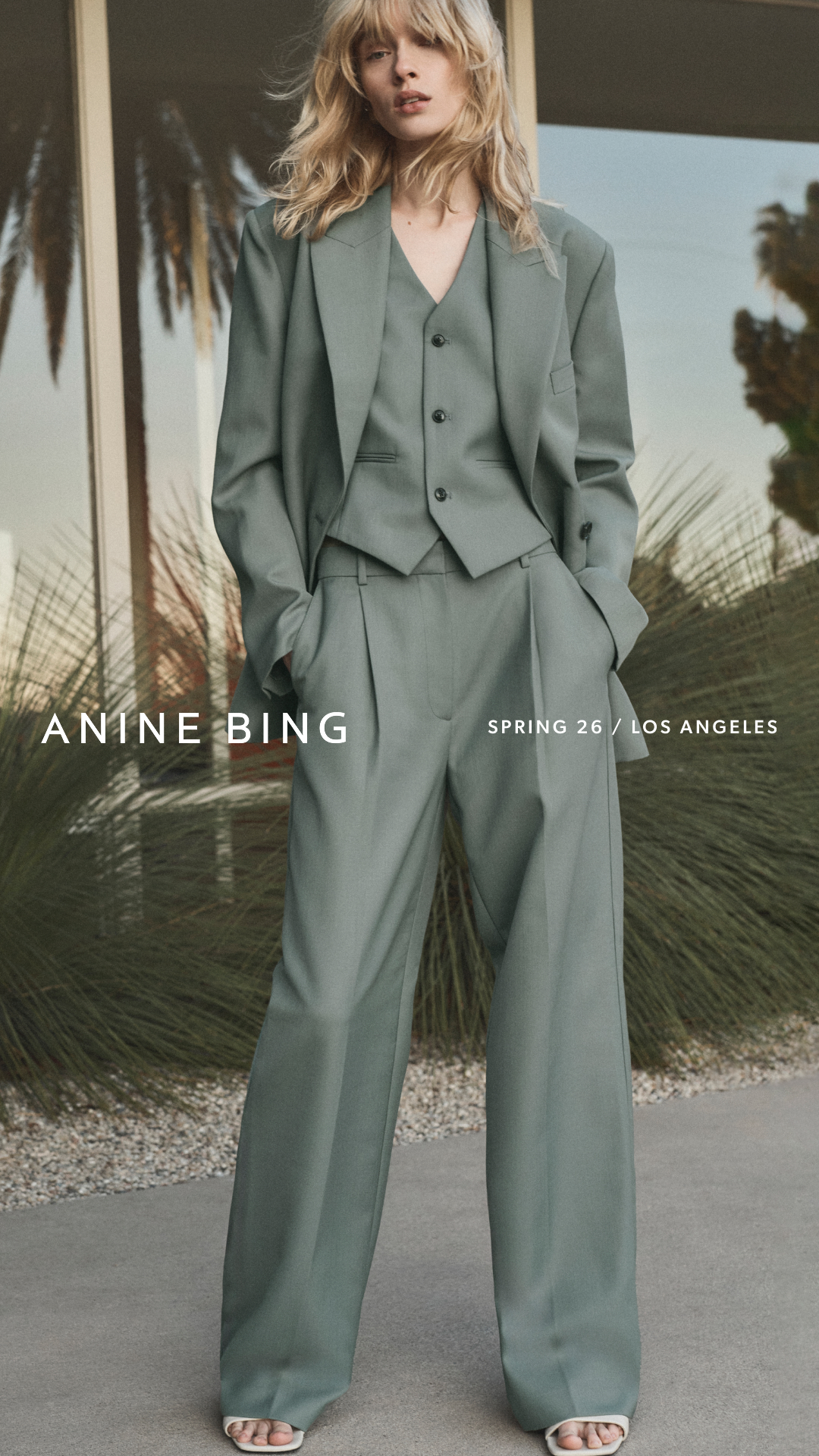 ANINE BING Facebook ad