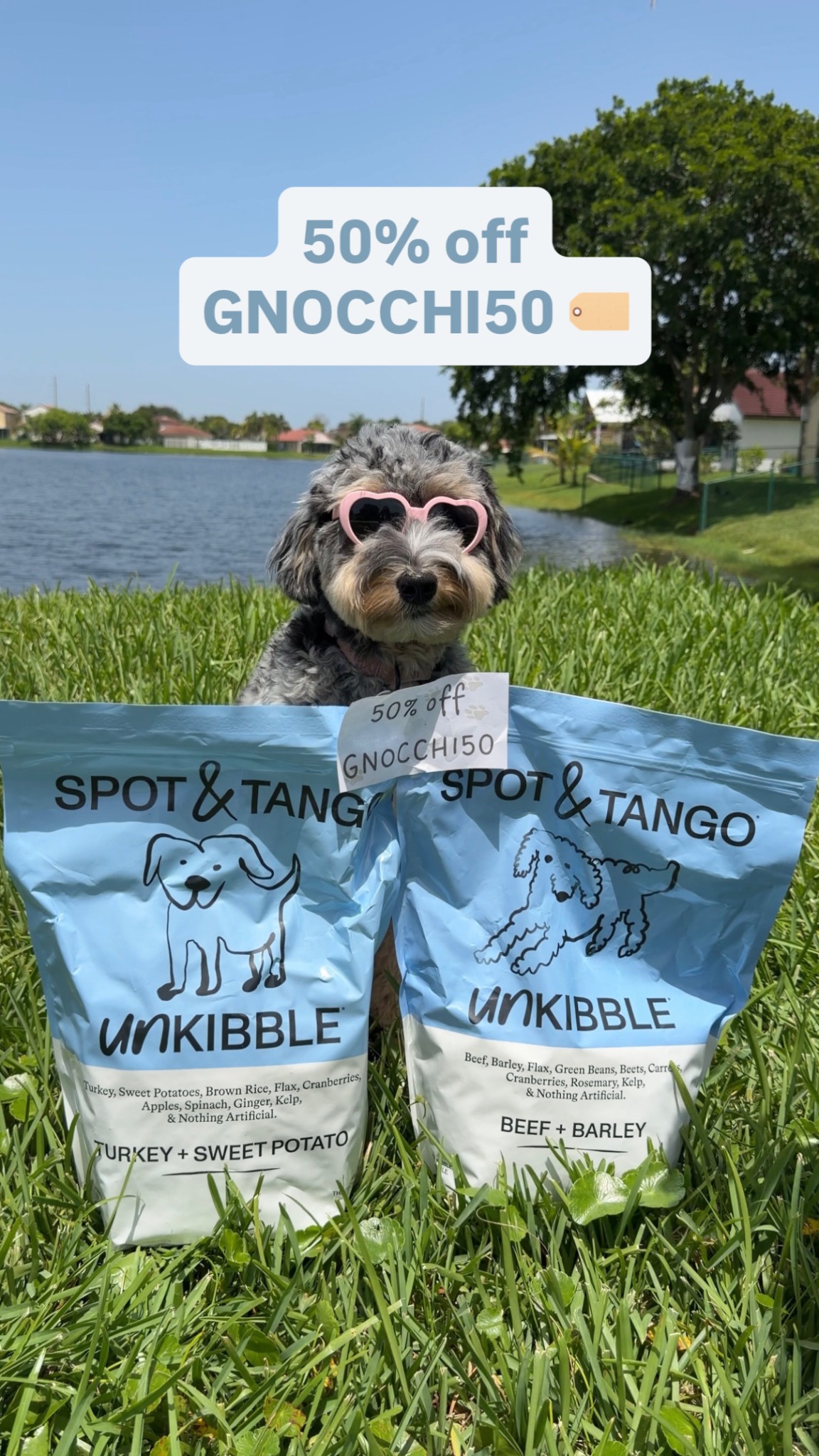 Helloitsgnocchi Facebook ad