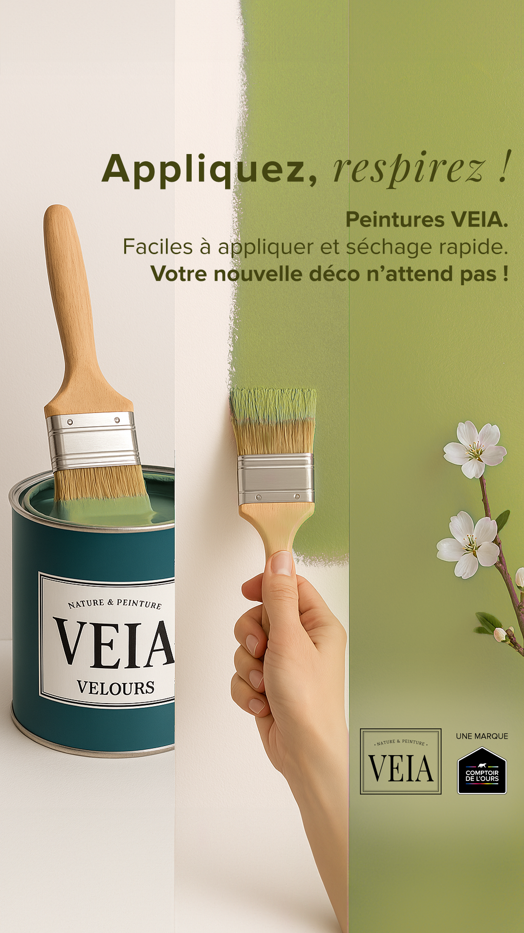 VEIA Peinture Facebook ad from Sep 1, 2025