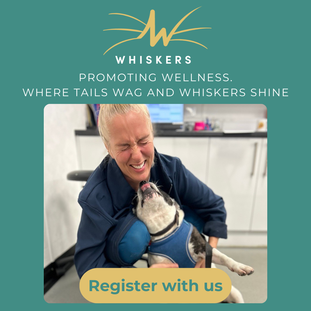 Whiskers Veterinary Practice Facebook ad