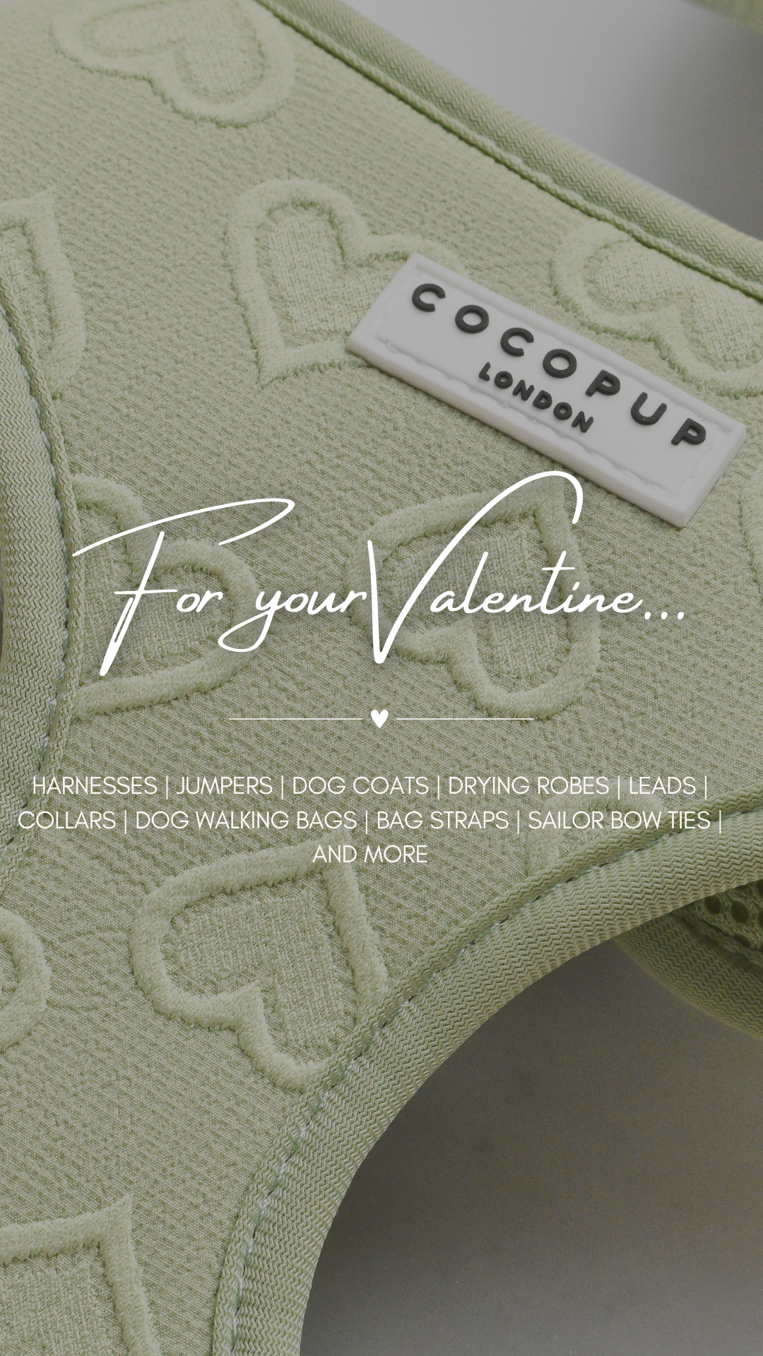 Cocopupuk Facebook ad