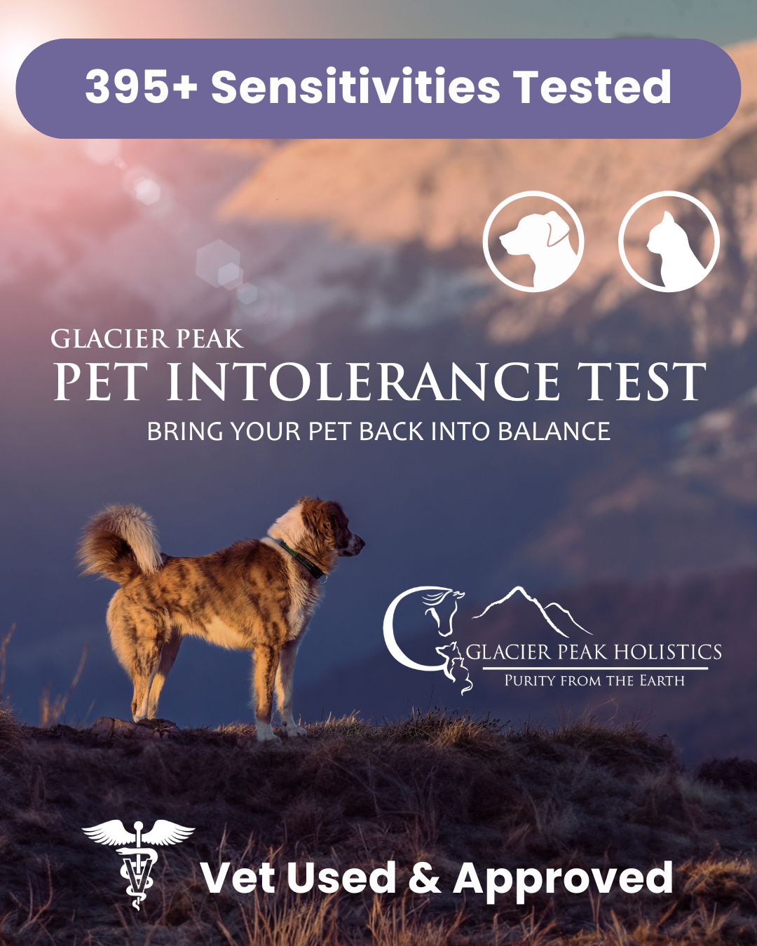 Glacier Peak Holistics Facebook ad: Discover Your Pet’s Hidden Triggers, Test for 395+…