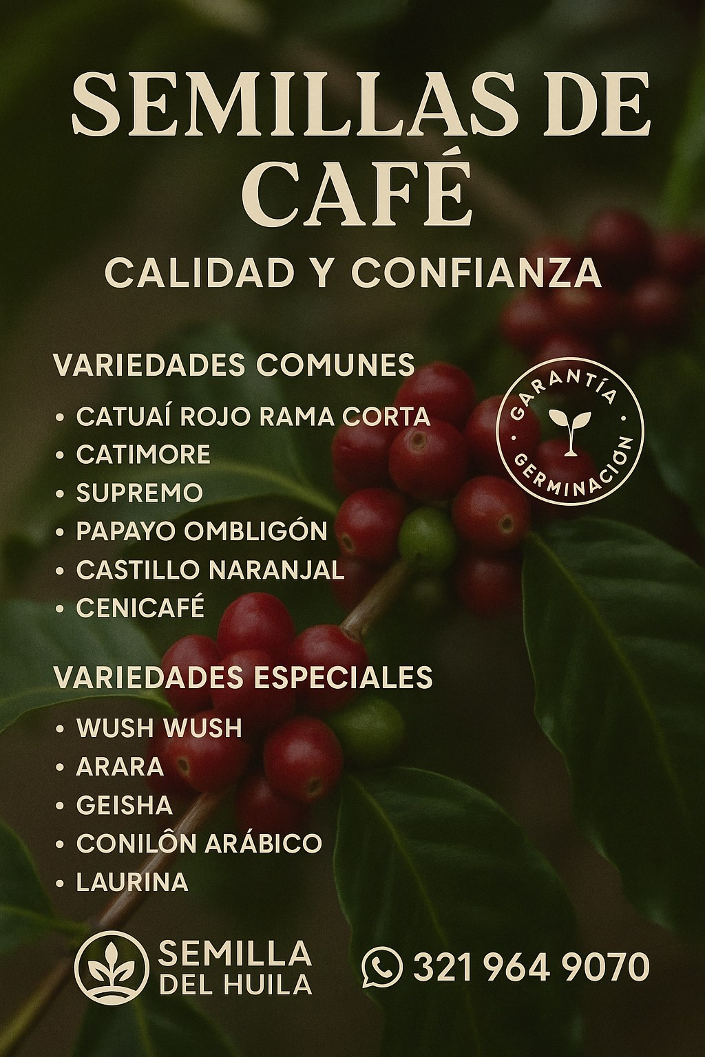 Semilla del Huila Facebook ad: ¡Siembra el futuro de tu cafetal con semillas…