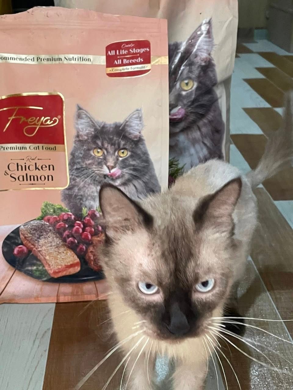 Same Day Pet Products Tanauan Batangas Facebook ad: FROM SUPER PAYAT TO CUTE BALL OF FUR!
