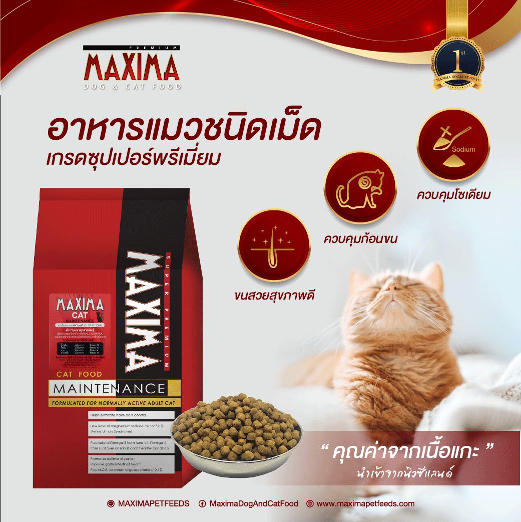 MAXIMA DOG & CAT FOOD Facebook ad: คุณค่าจากเนื้อแกะที่ทาง MAXIMA คัดสรรมาเป็นอย่างดี