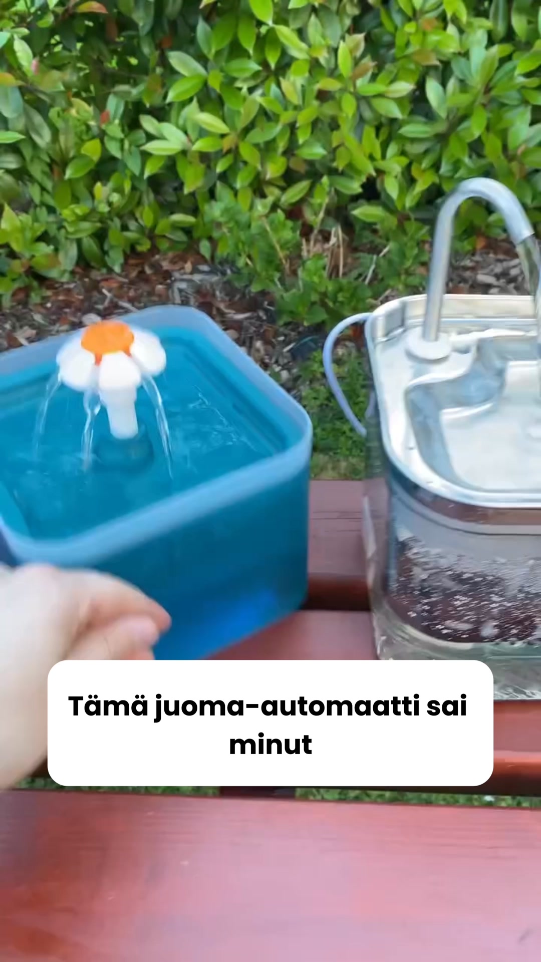 Girasol Facebook ad: Saat 50% alennuksen + ilmaisen lahjan! Vain rajoitetun ajan!