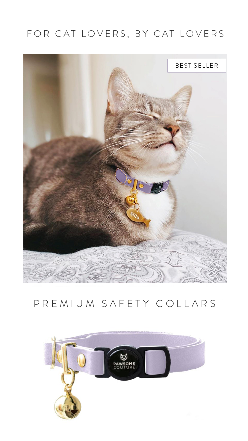 Pawsome Couture Facebook ad