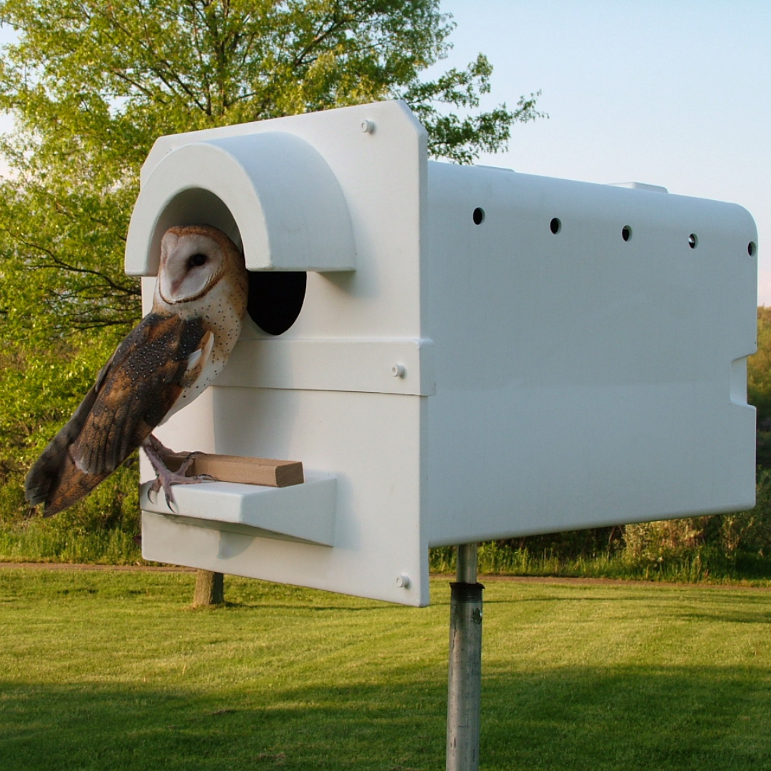 Barn Owl Box Company Facebook ad