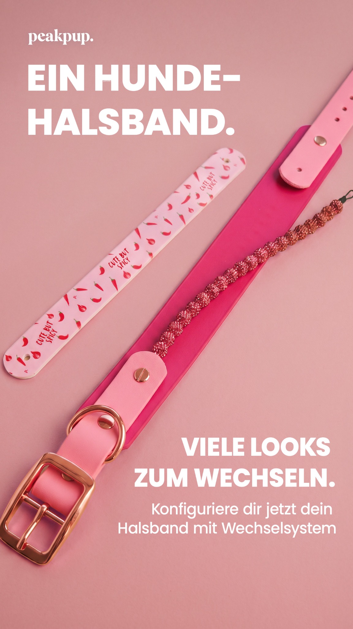 Peakpup.shop Facebook ad: Ein Halsband. Unzählige Looks.