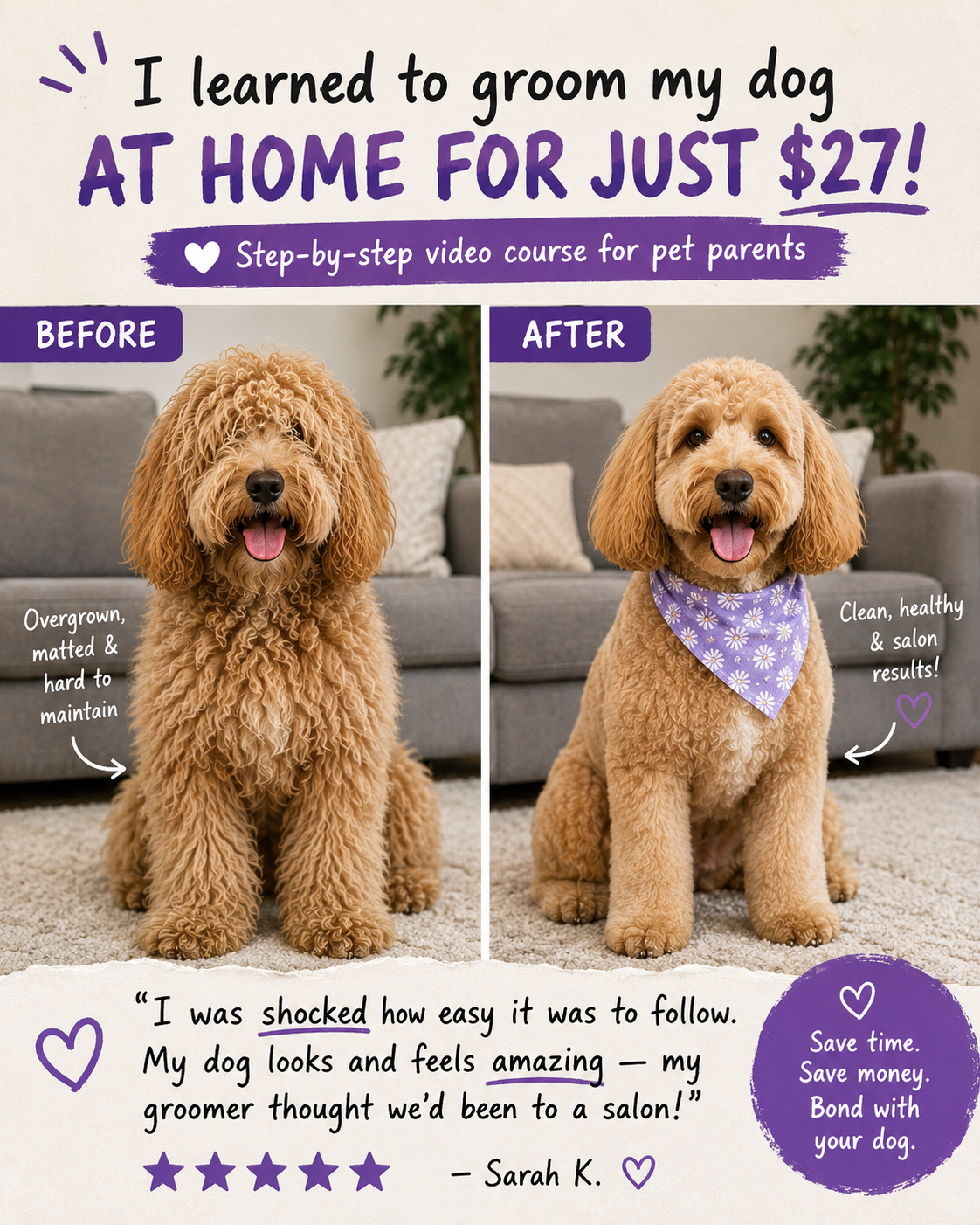Shelley The Dog Groomer Facebook ad