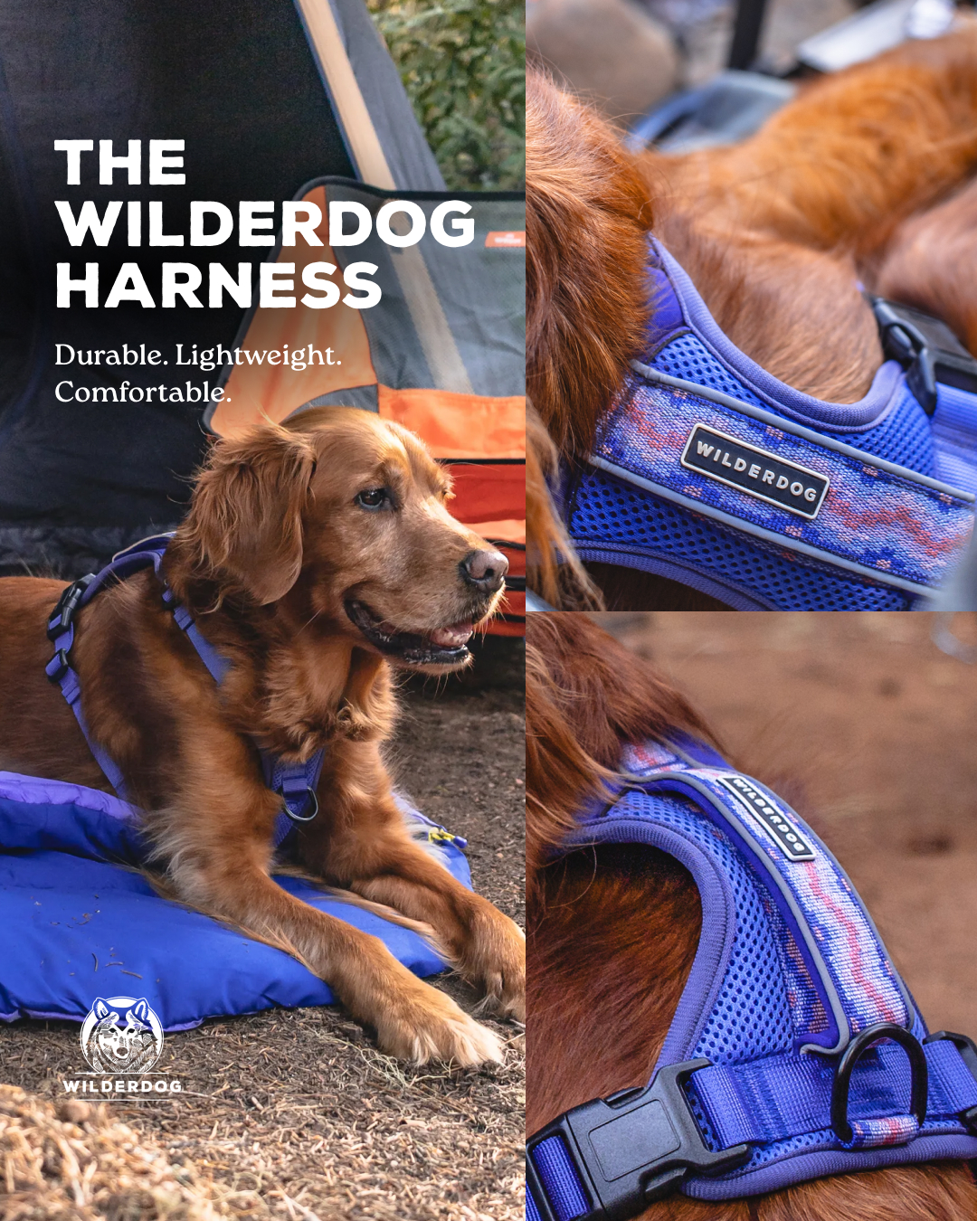 Wilderdog Facebook ad: Wilderdog Harness