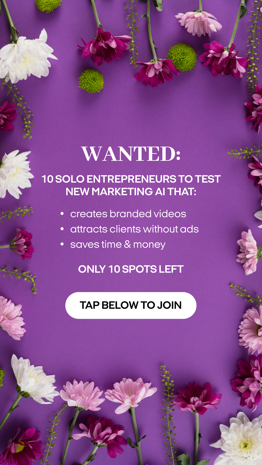 Zeely Facebook ad