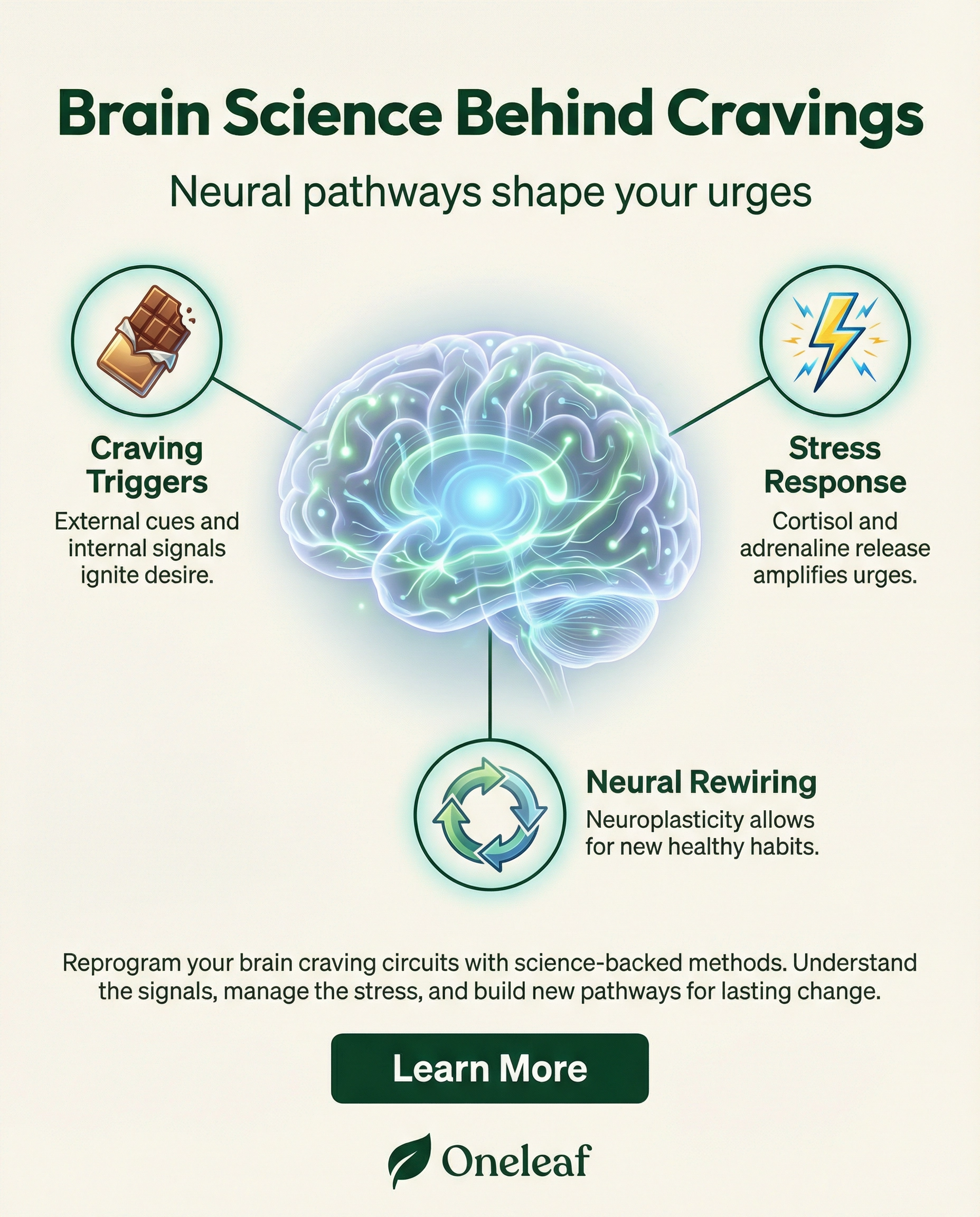 Oneleaf Facebook ad: Retrain Your Brain To Lose Weight