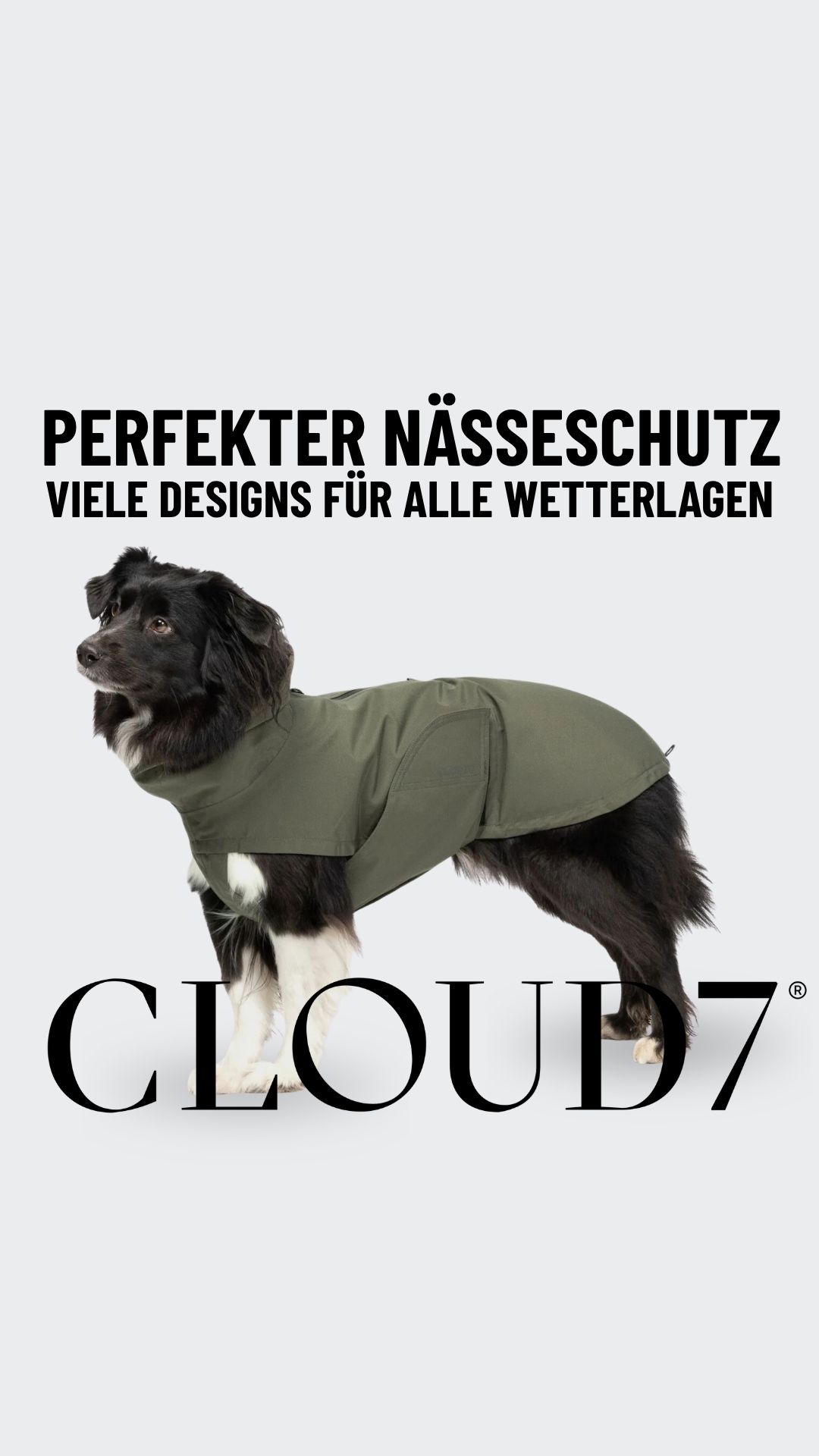 Cloud7 Facebook ad: Wetterfest für jeden Hund
