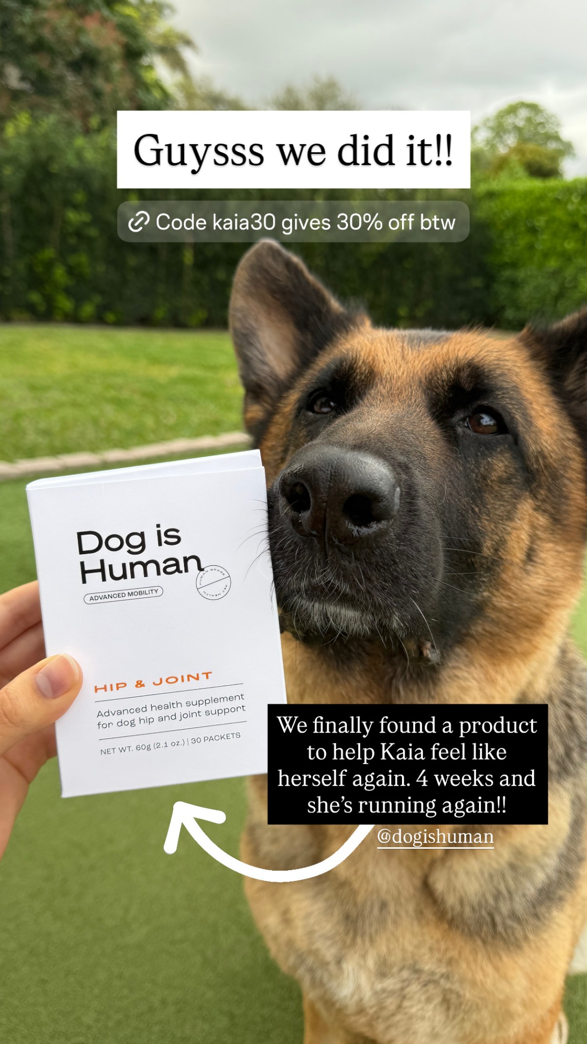 Dog is Human Facebook ad