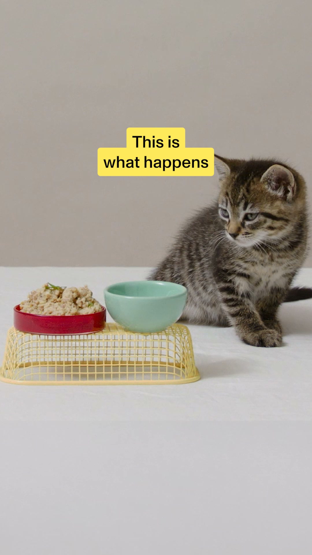 Smalls Facebook ad: Human-Grade Fresh Cat Food