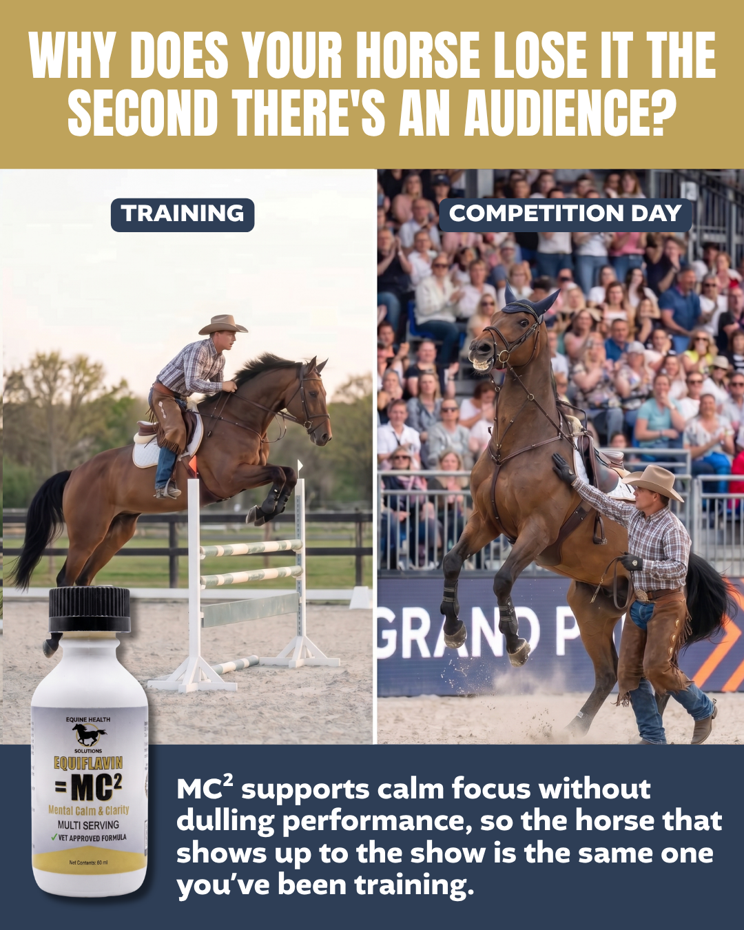 Equine Health Solutions Facebook ad