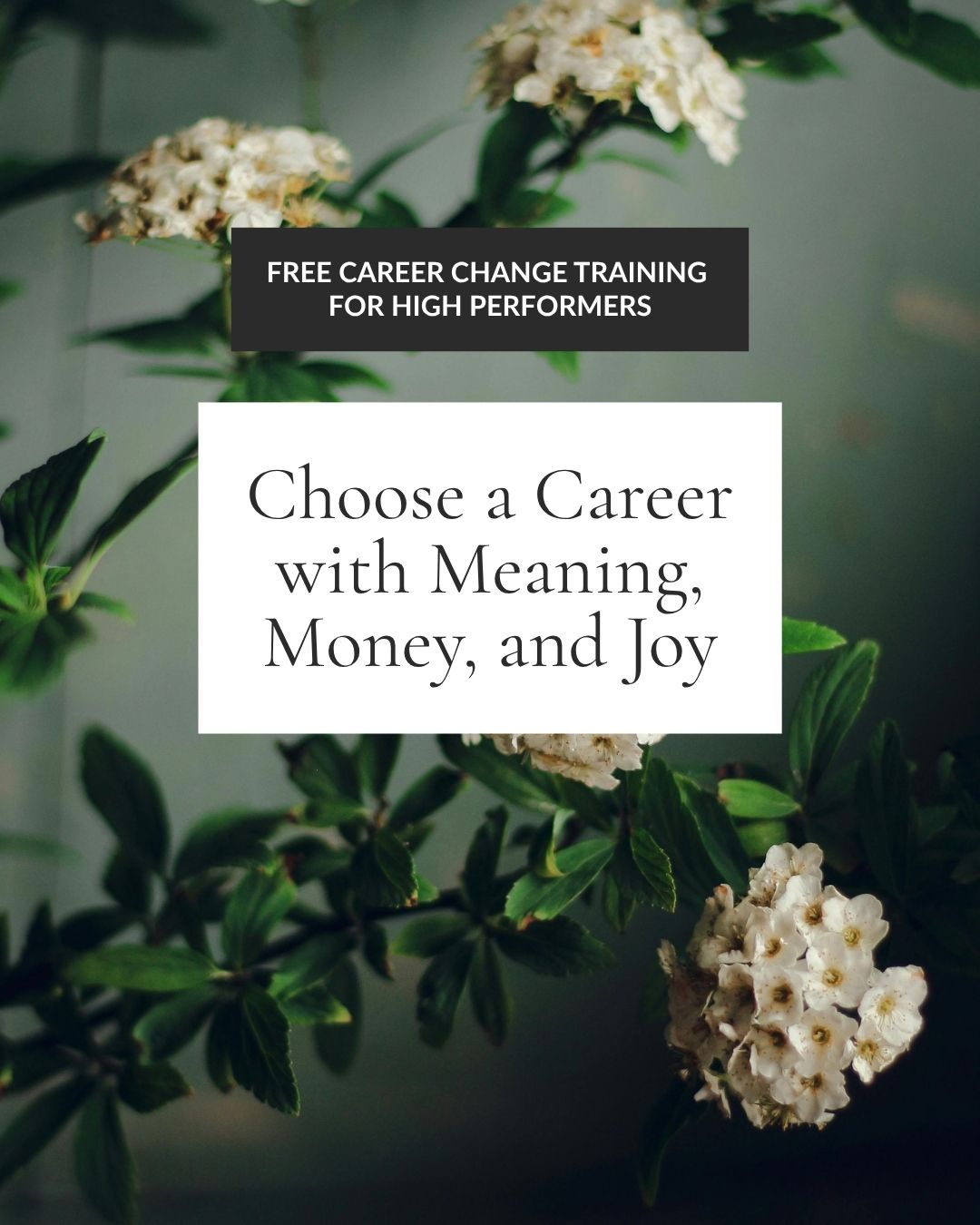 Laura Simms - Your Career Homecoming Facebook ad from Jun 8, 2026