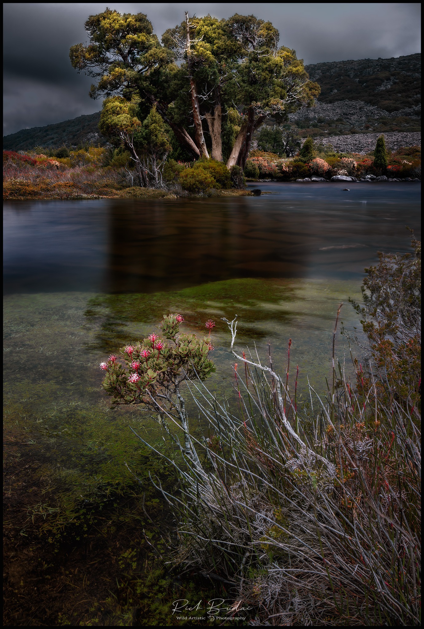 Wild Artistic Photography Tours And Workshops Facebook ad: Trying Something Different