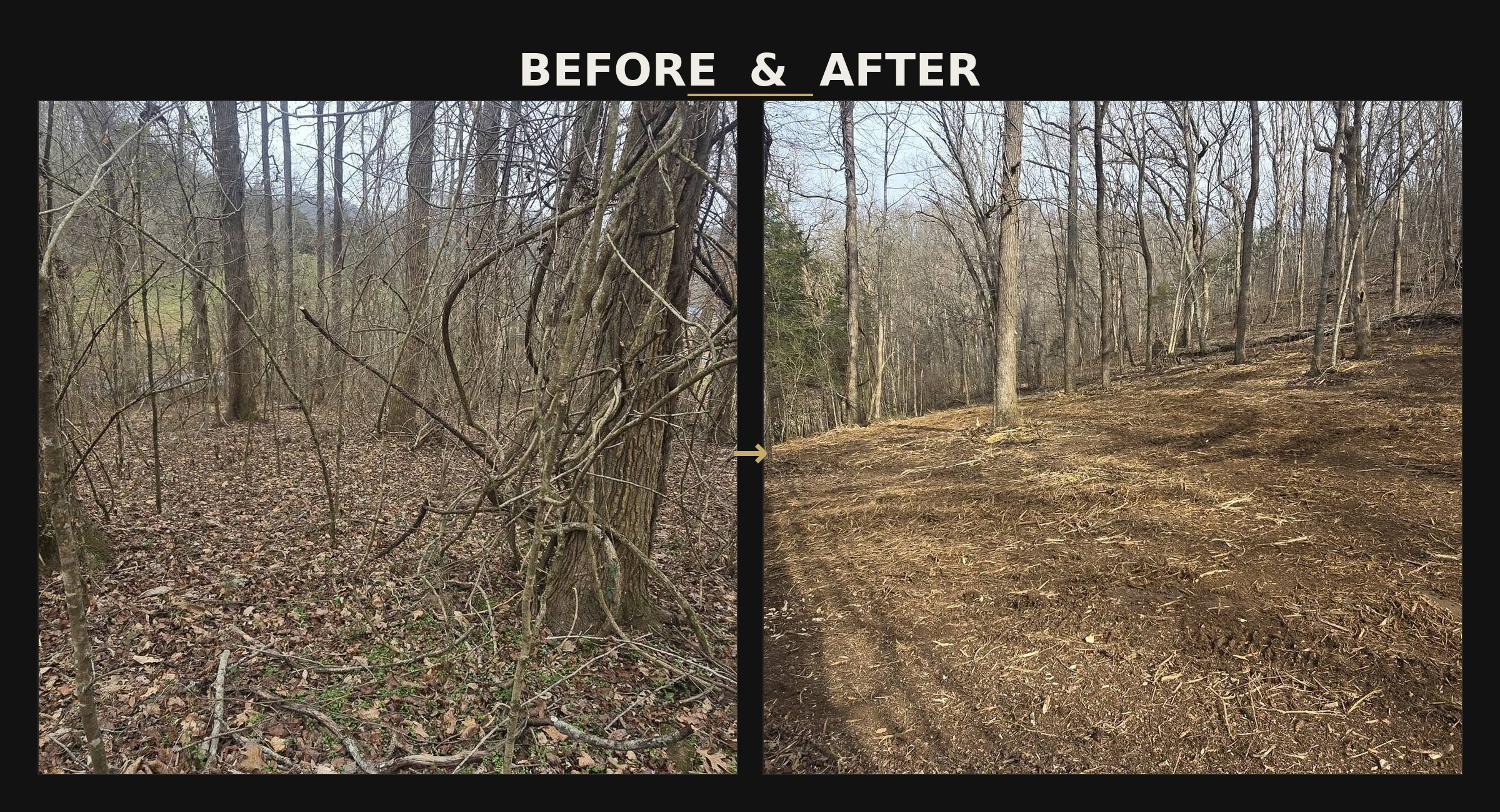 Precision Grading Specialists Facebook ad: Turn Overgrown Land into Opportunity Fast