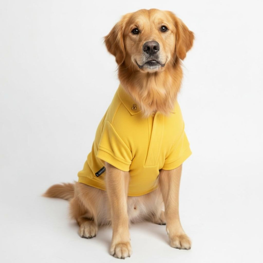 The Pet Closet co Facebook ad