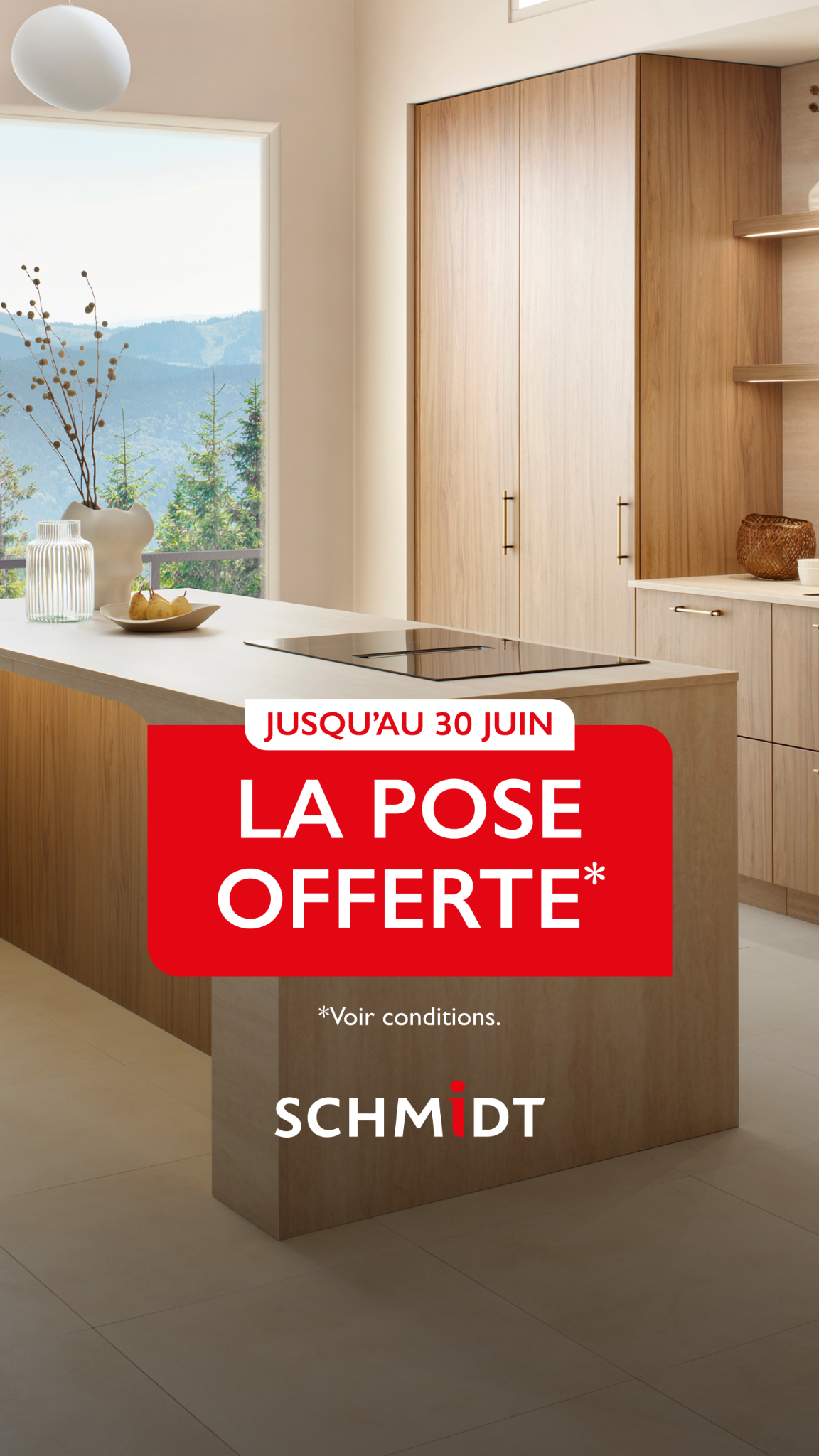 Schmidt Facebook ad