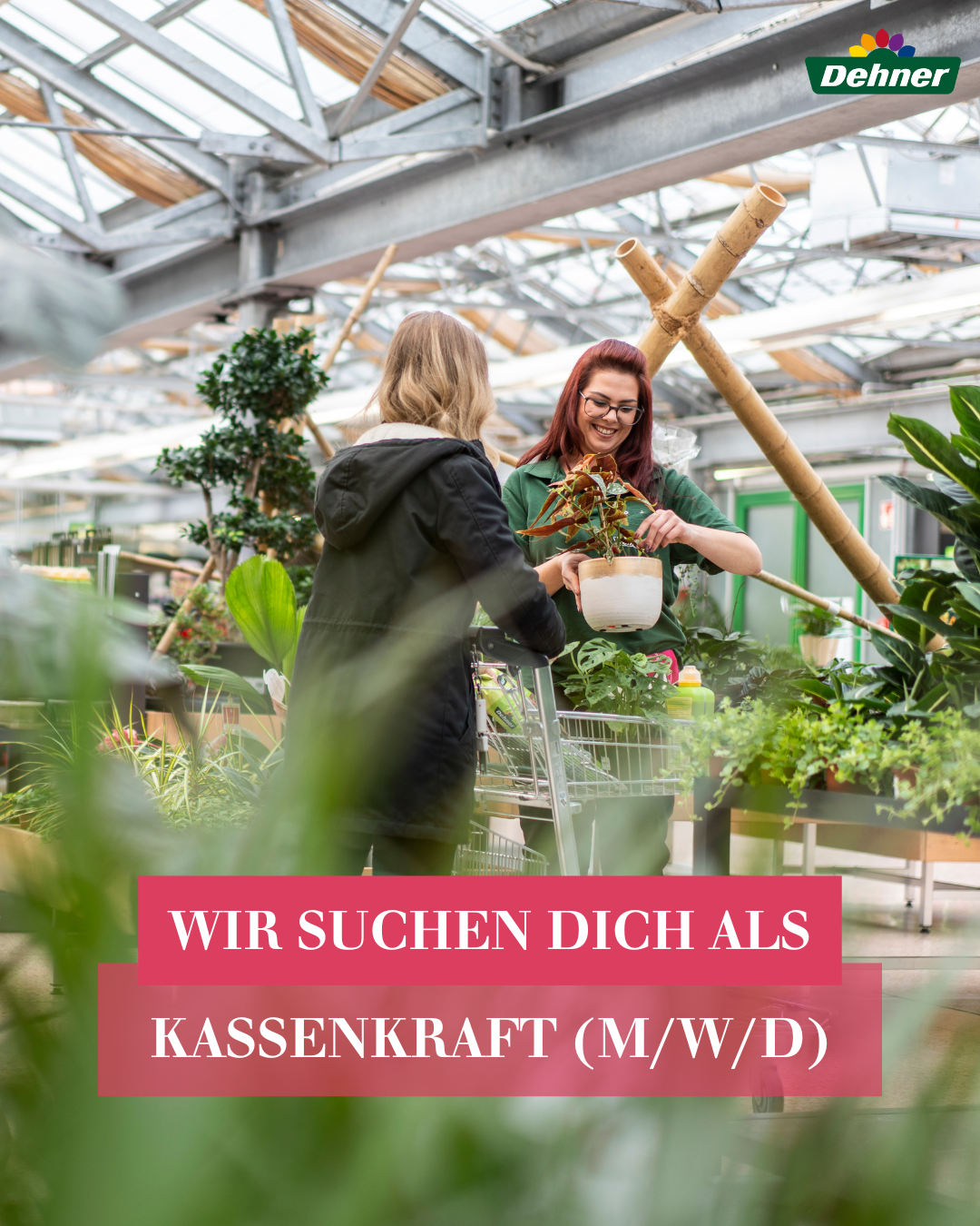 Dehner Karriere Facebook ad
