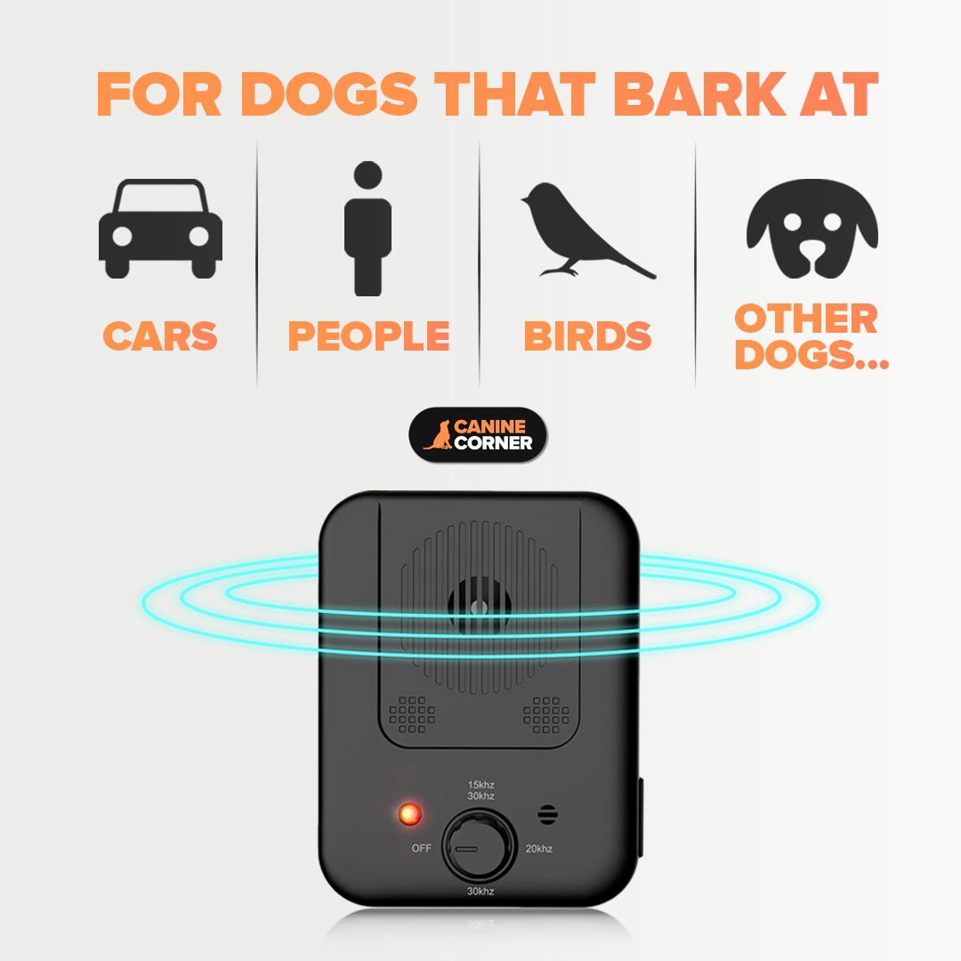 Canine Corner Australia Facebook ad