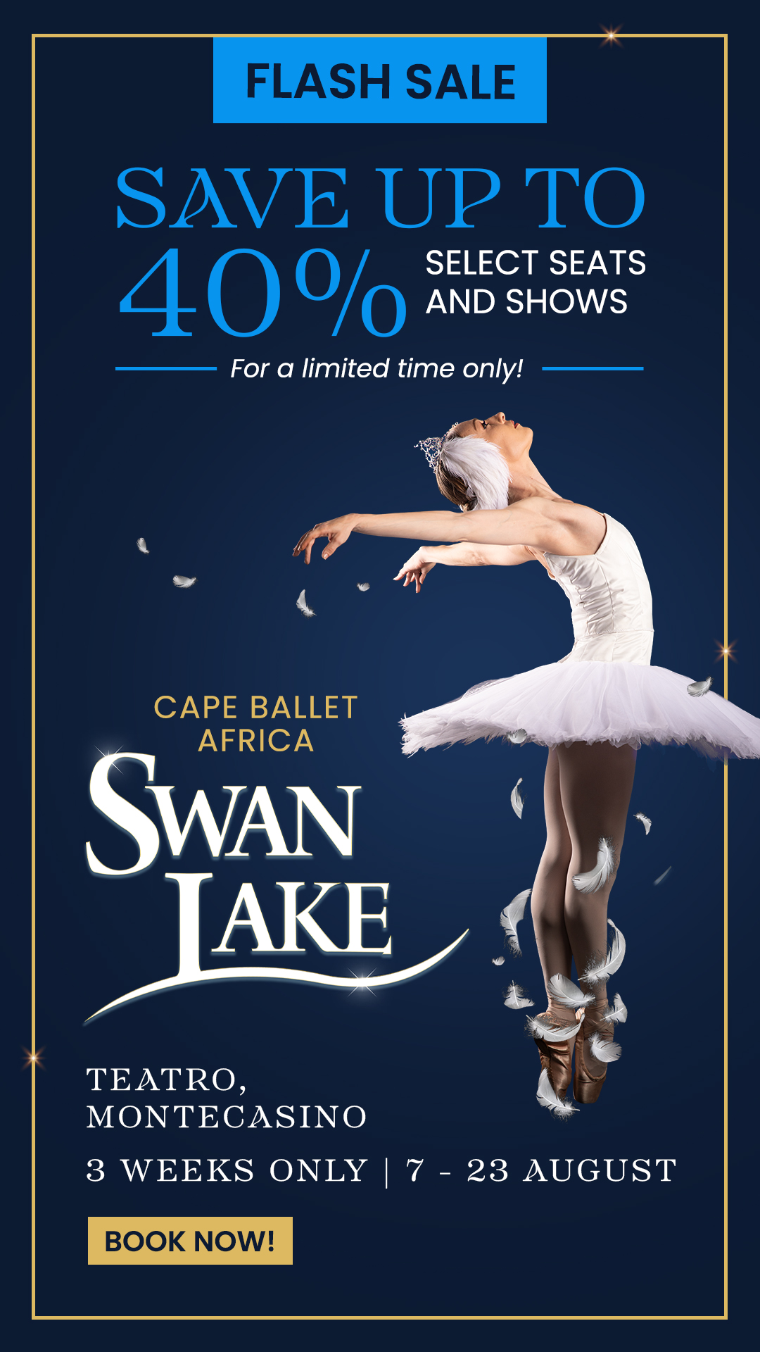 Cape Ballet Africa - Swan Lake Facebook ad