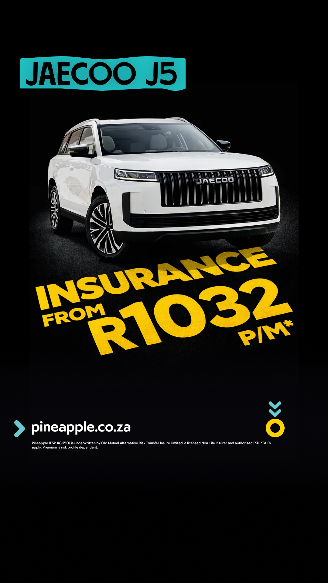 Pineapple Facebook ad