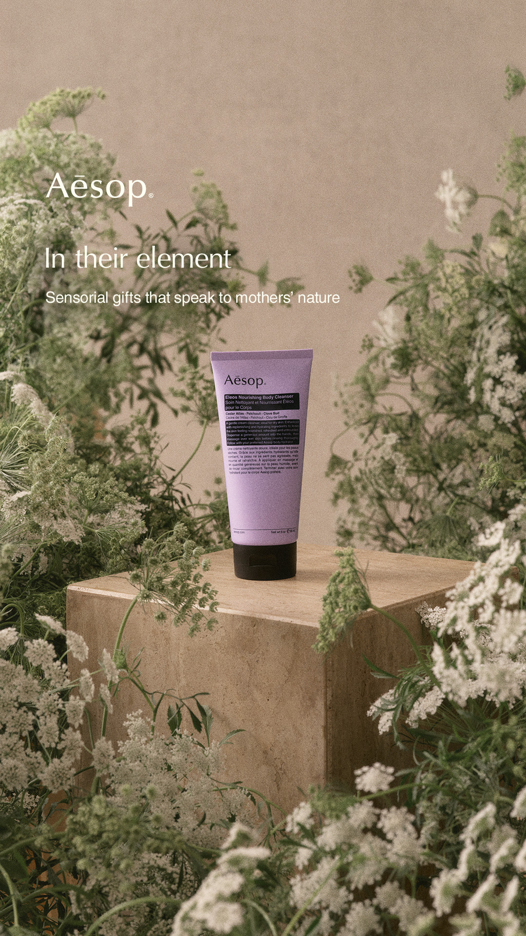 Aesop Facebook ad