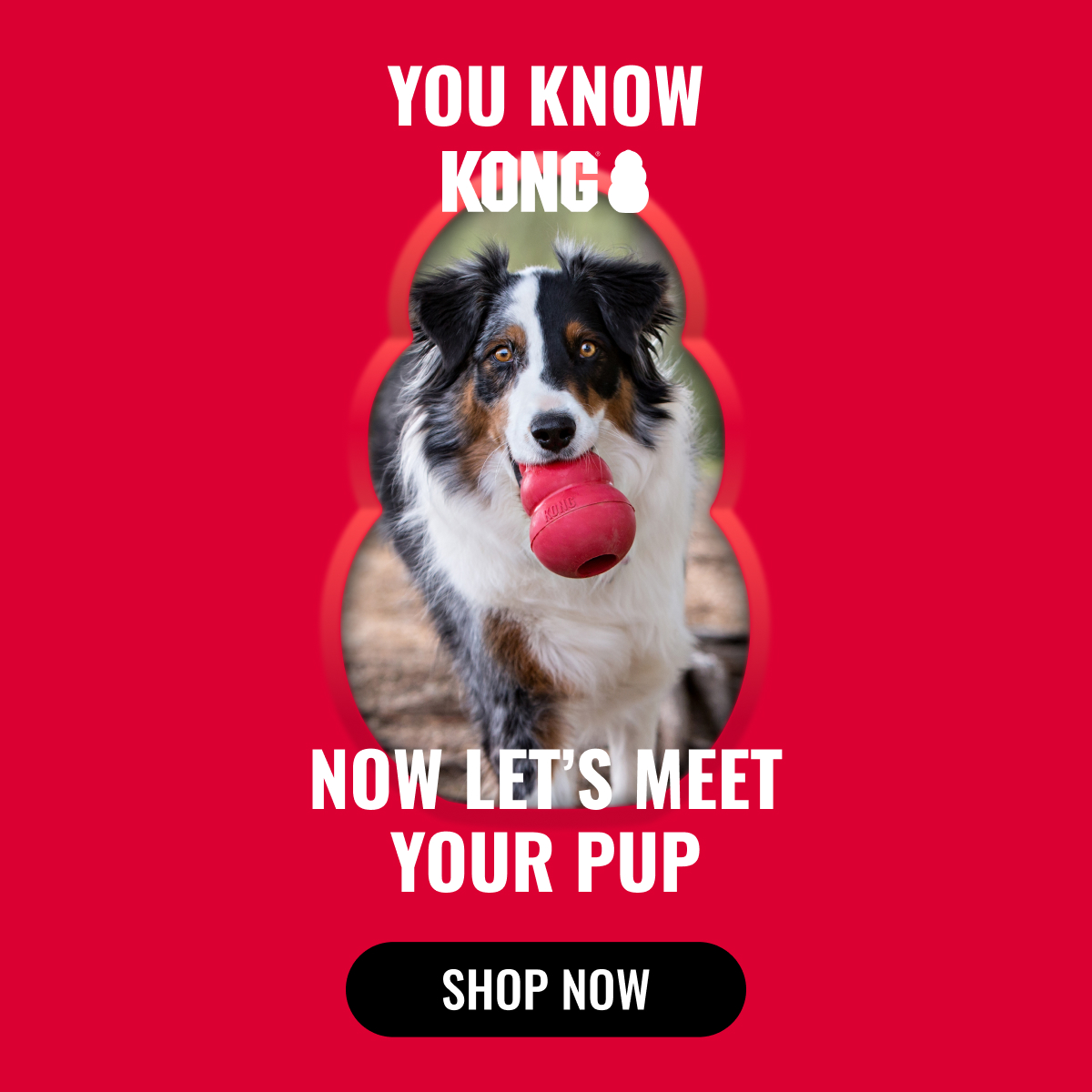 KONG Facebook ad