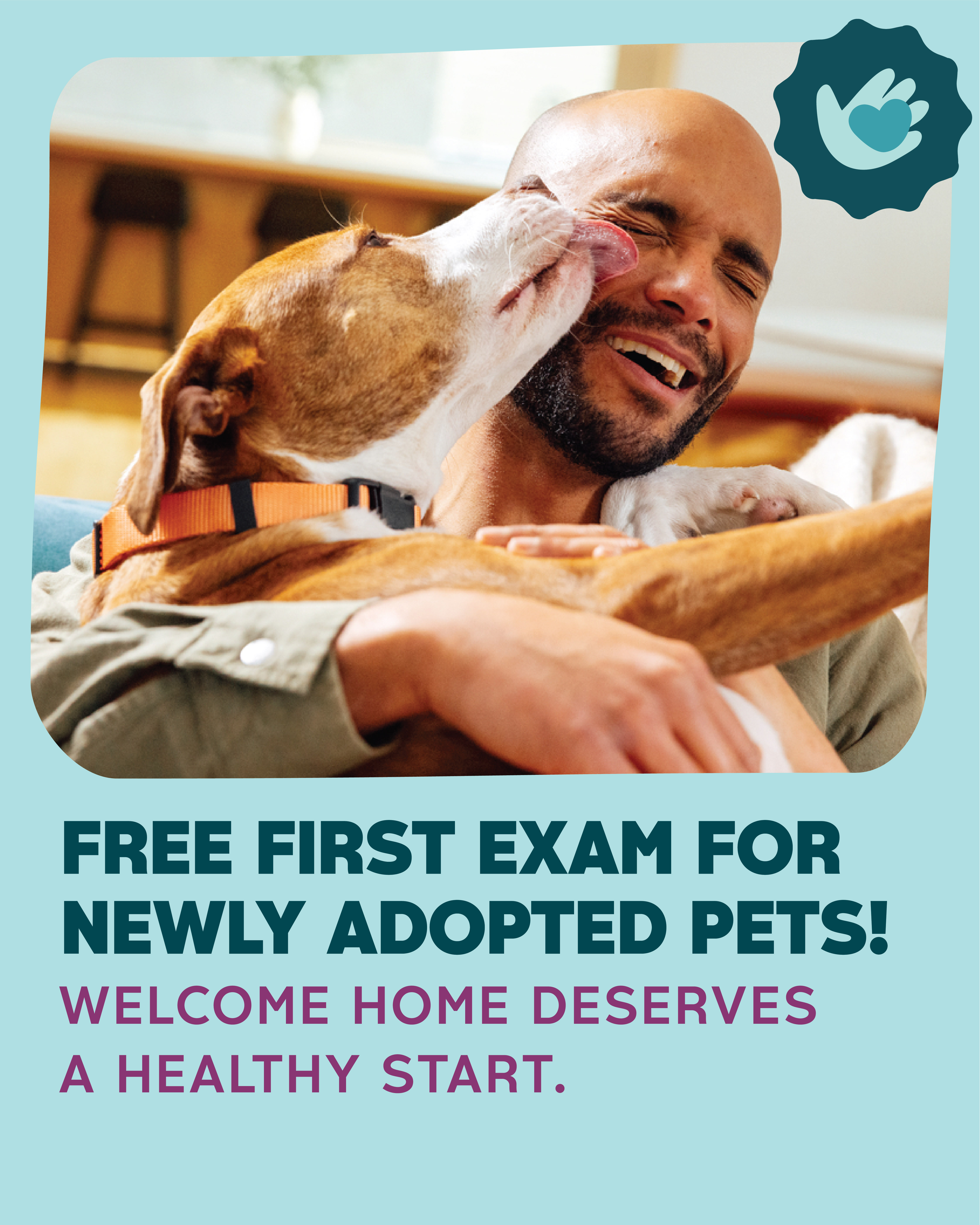 Butterfield Animal Hospital Facebook ad: Free First Exam for Newly Adopted Pets