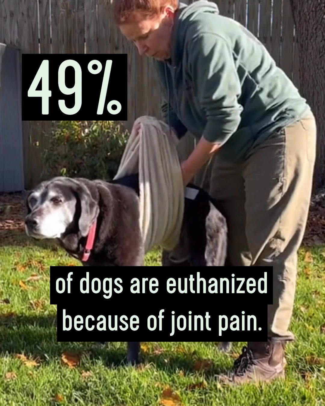 Extend Pets Facebook ad: Support Joint Health Naturally
