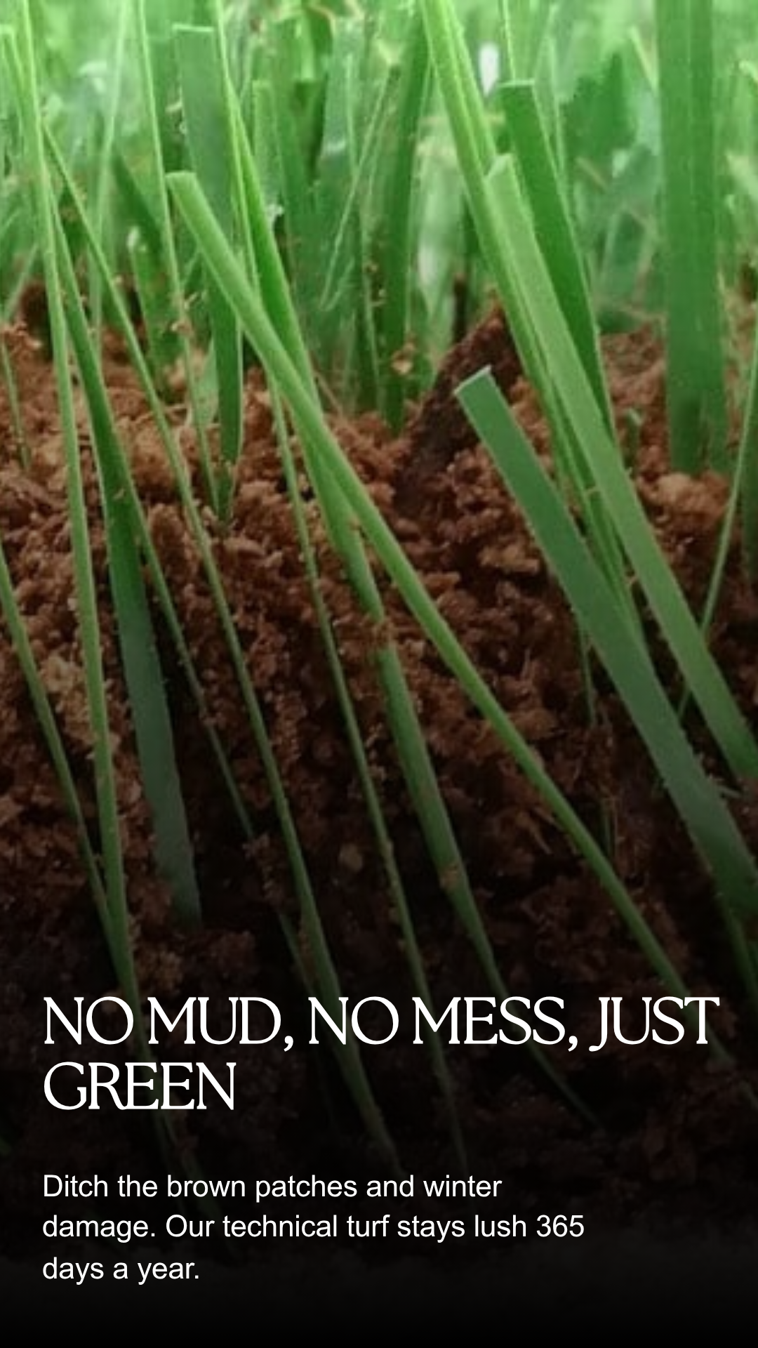 ProGreen Synthetic Turf Systems Facebook ad