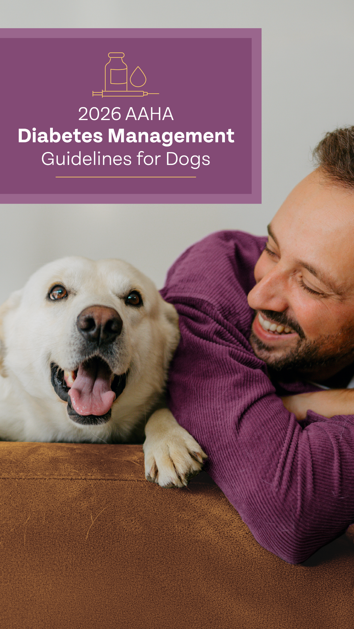 American Animal Hospital Association (AAHA) Facebook ad: New Guidance for Canine Diabetes