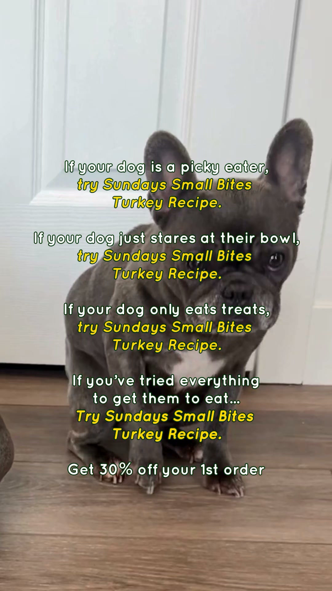 Sundays Facebook ad: Vet-Formulated Nutrition. Try It With 30% Off Your First…