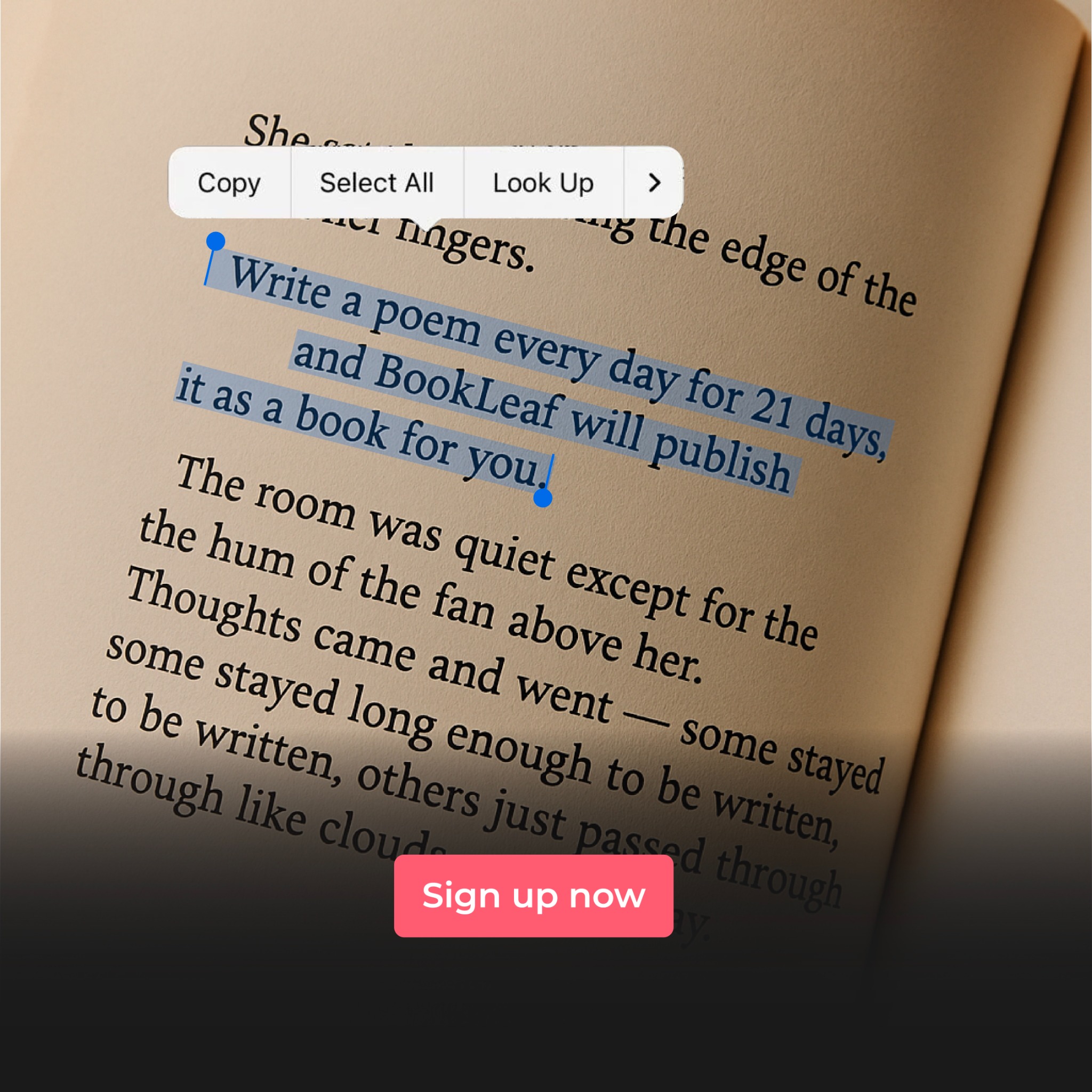 BookLeaf Publishing Facebook ad