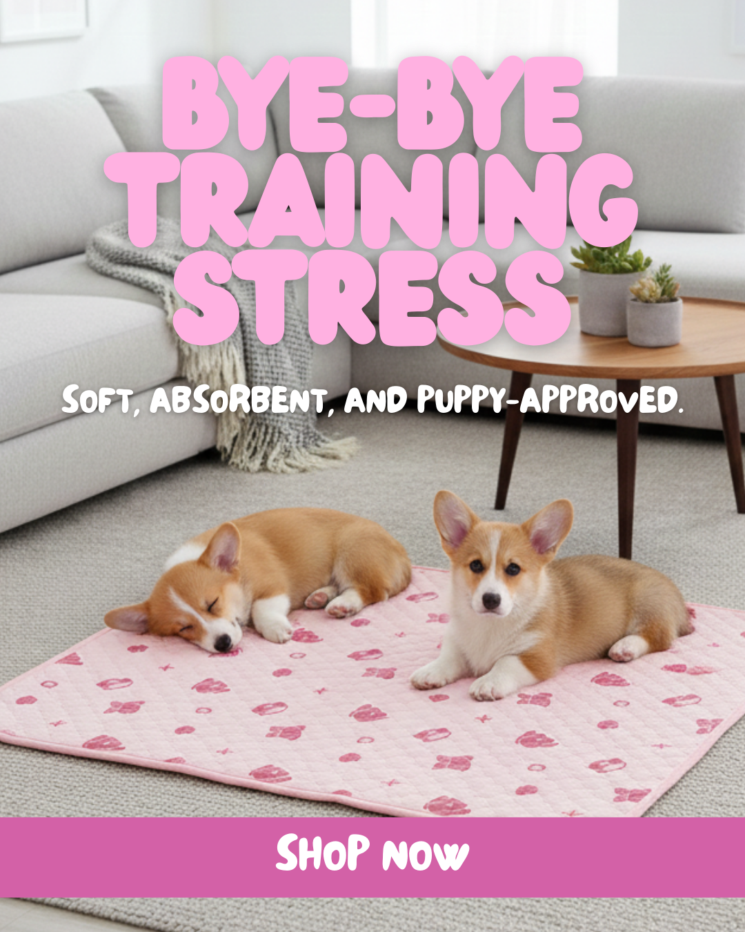 Potty Buddy Facebook ad