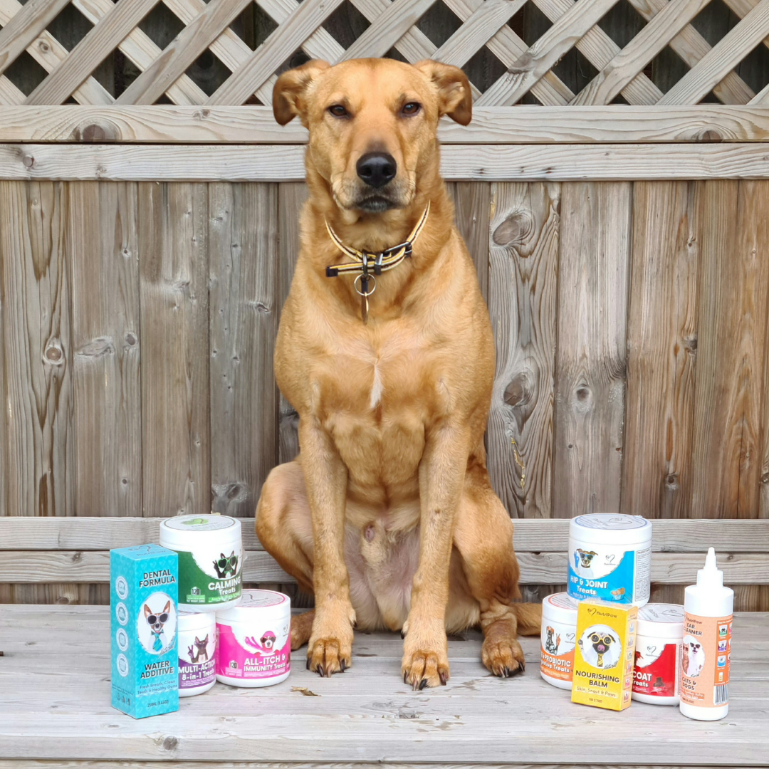 Nutri Paw Facebook ad
