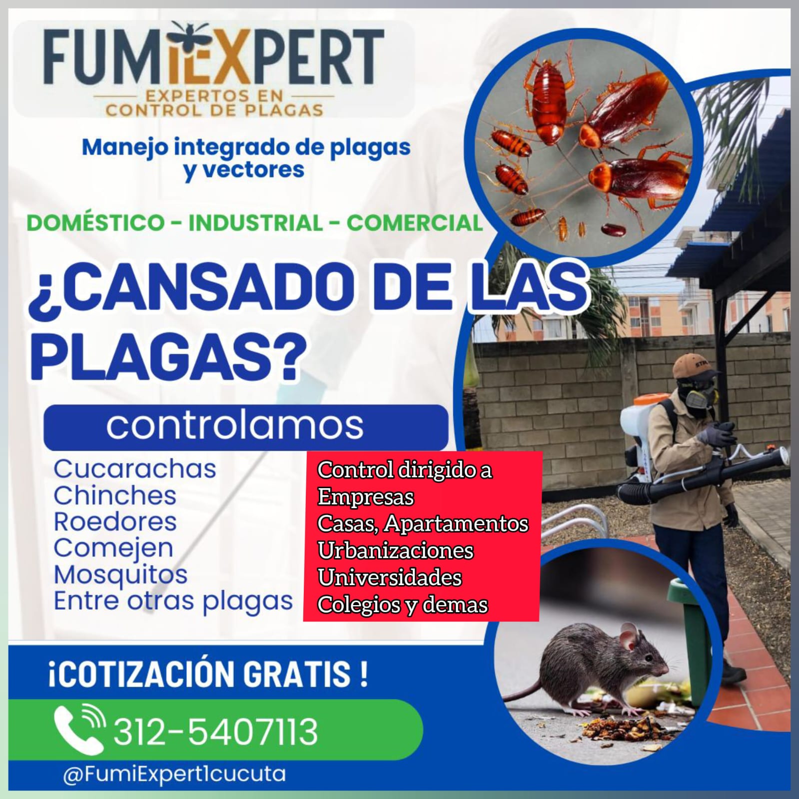 Fumigaciones Jd Facebook ad