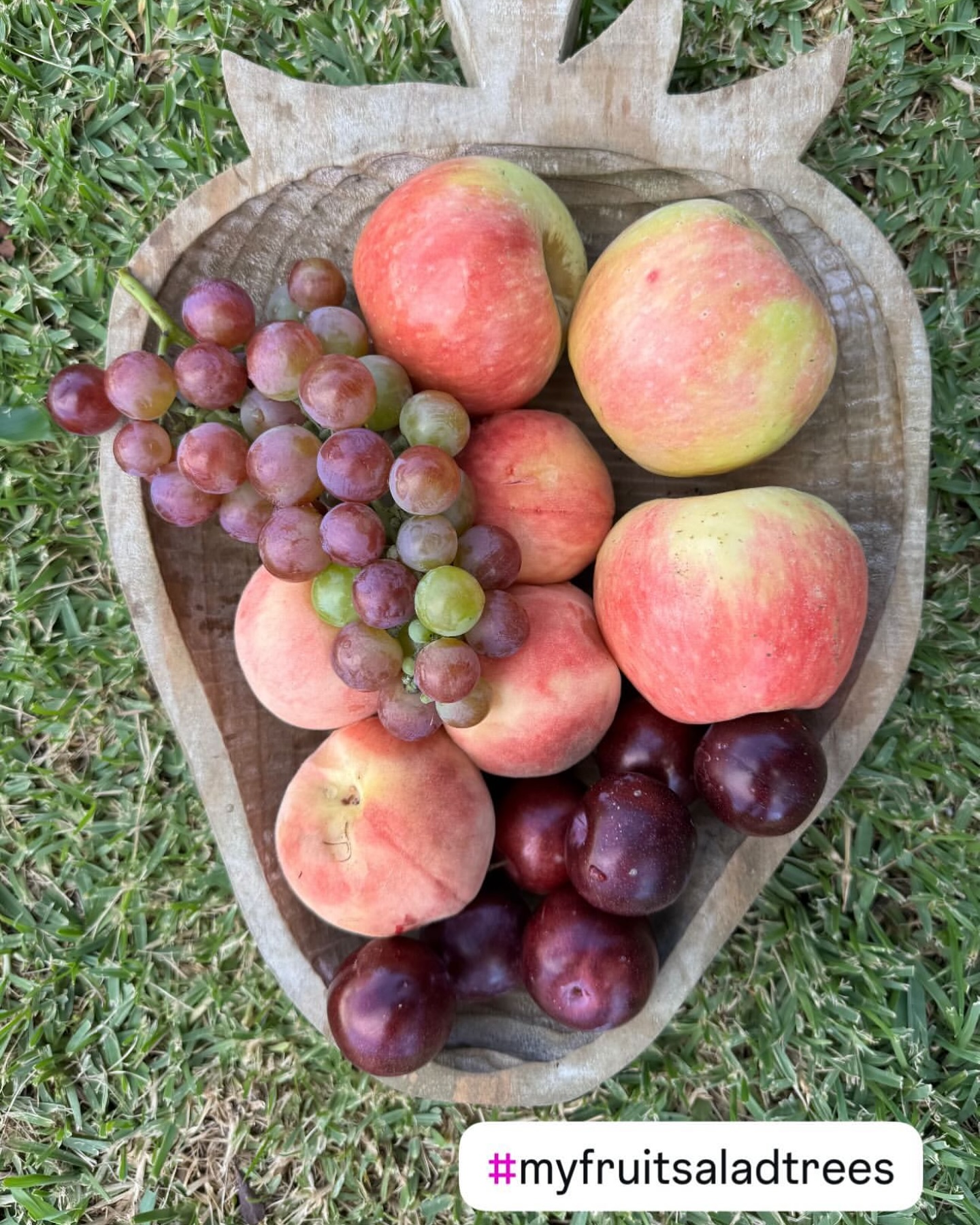 Fruit Salad Trees Facebook ad: Fruit Salad Trees | Different fruit on the same tree…