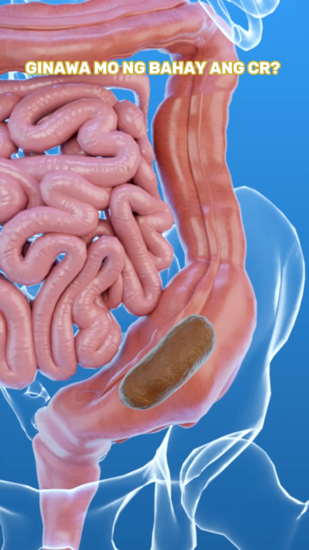 Authentic Lemon Cucumber Colon Cleanse Facebook ad: Less Hassle. More Gut Support.