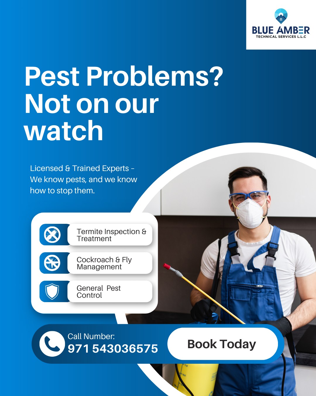 Blue Amber Home Services Facebook ad: Pest Problem? WhatsApp Us Now