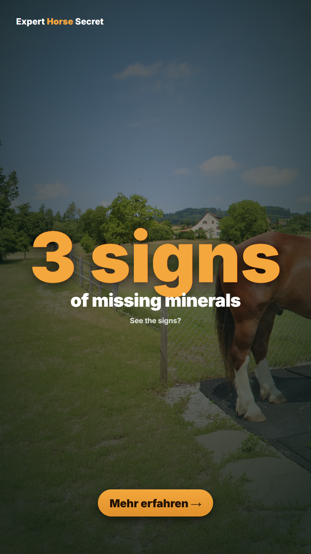 Expert Horse Secret Facebook ad: For a truly healthy horse